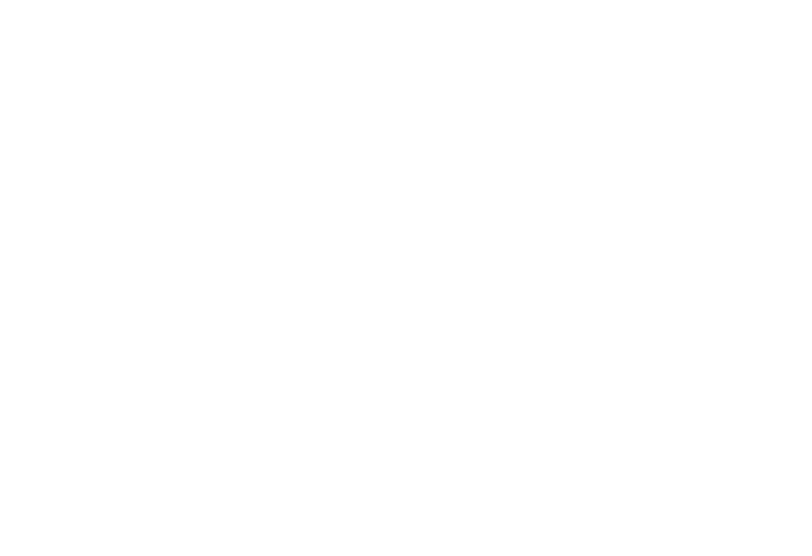 insight-consultation